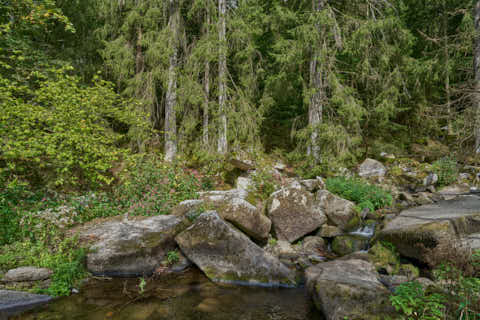 Gemeinde Waldkirchen Landkreis Freyung-Grafenau Saußbachklamm (Dirschl Johann) Deutschland FRG